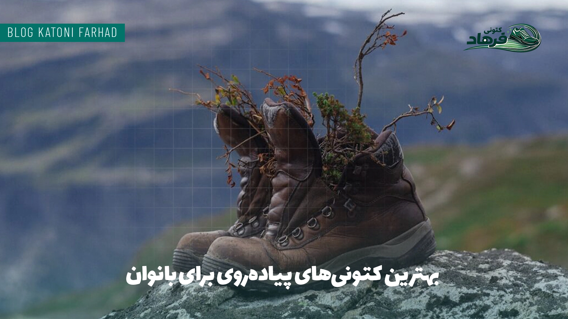 تاریخ انقضا کفش کوهنوردی