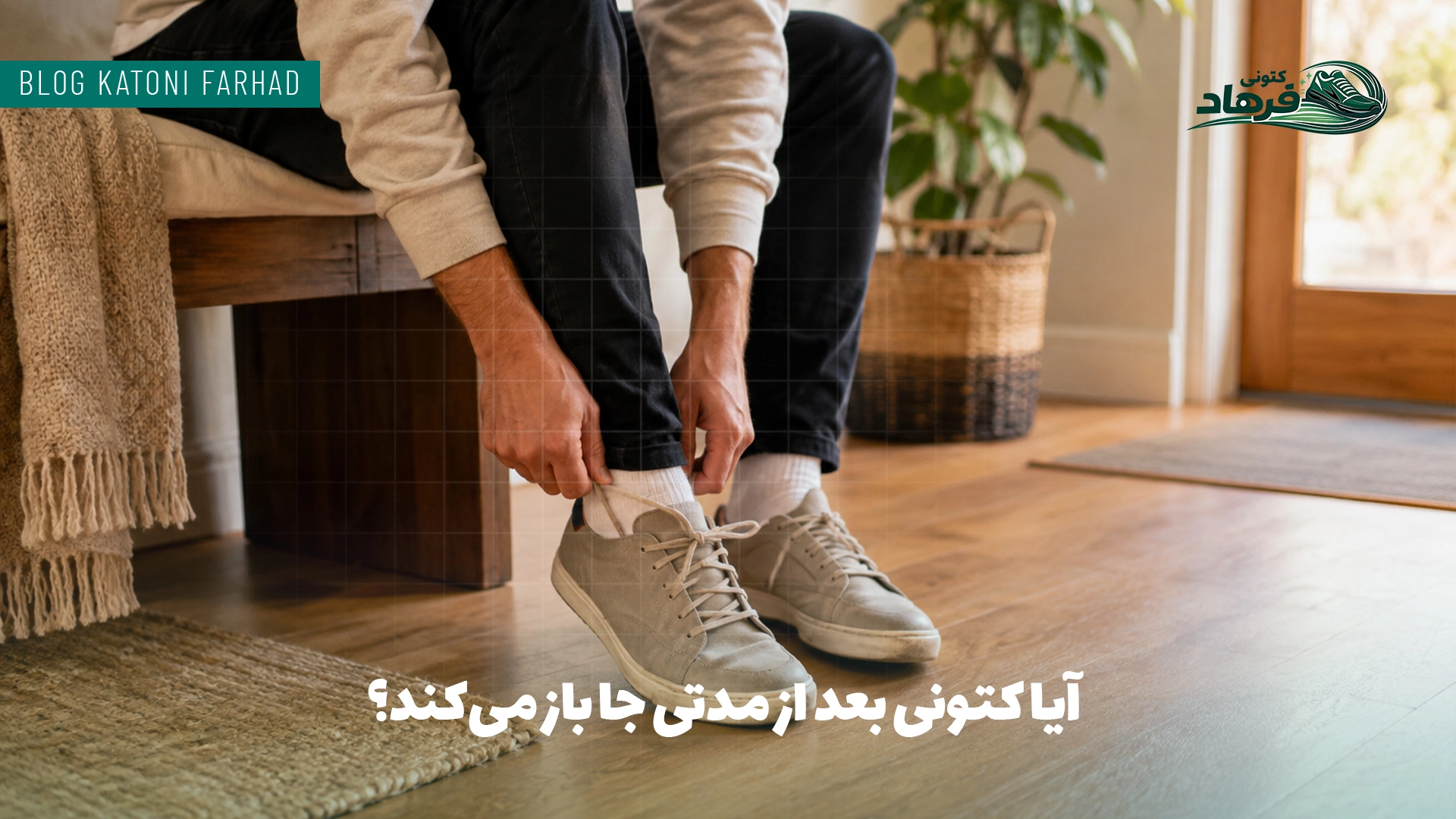 آیا کتونی بعد از مدتی جا باز می‌کند؟